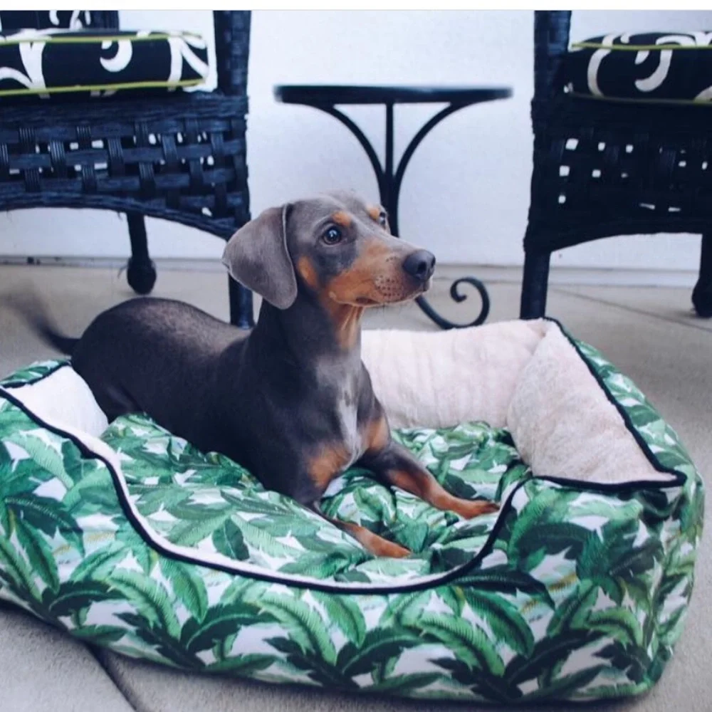 Brand New | Banana Leaf Dog Bed